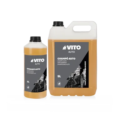 AUTO CLEANING